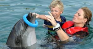 Spotkaj się z Spotkaj się z delfinami w Icmelerdelfinami w Icmeler