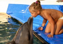 Spotkaj Delfiny w Marmaris