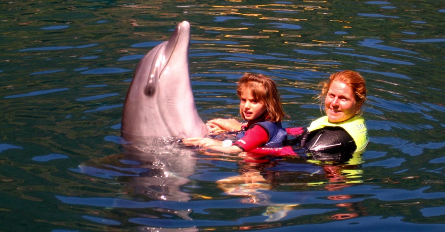 Marmaris Wycieczki, Park Delfinów