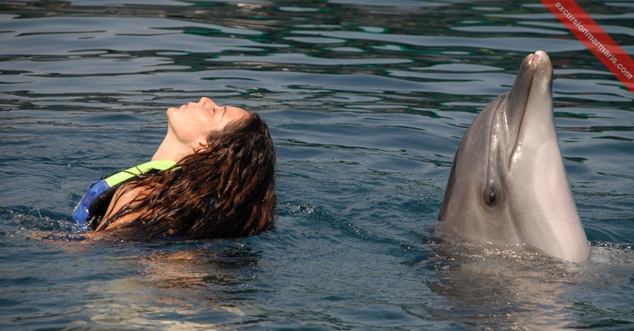 Pływaj z delfinami, Marmaris