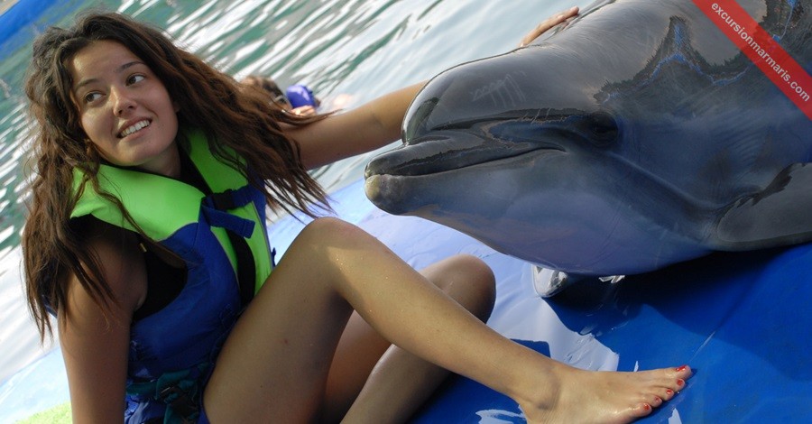 Pływaj z delfinami w Icmeler