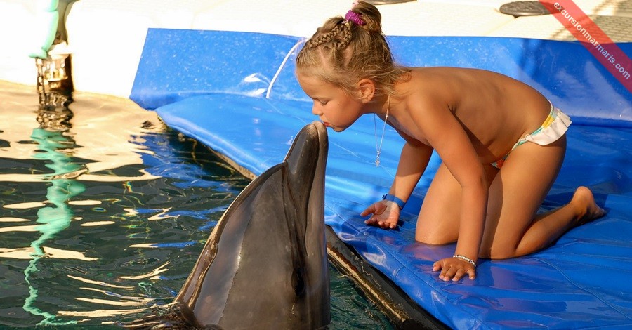 Spotkaj się z delfinami w Icmeler